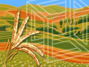 Международная дистанционная олимпиада по биологии «Хлебные зерновые культуры» для школьников 5-11 классов, студентов и педагогов