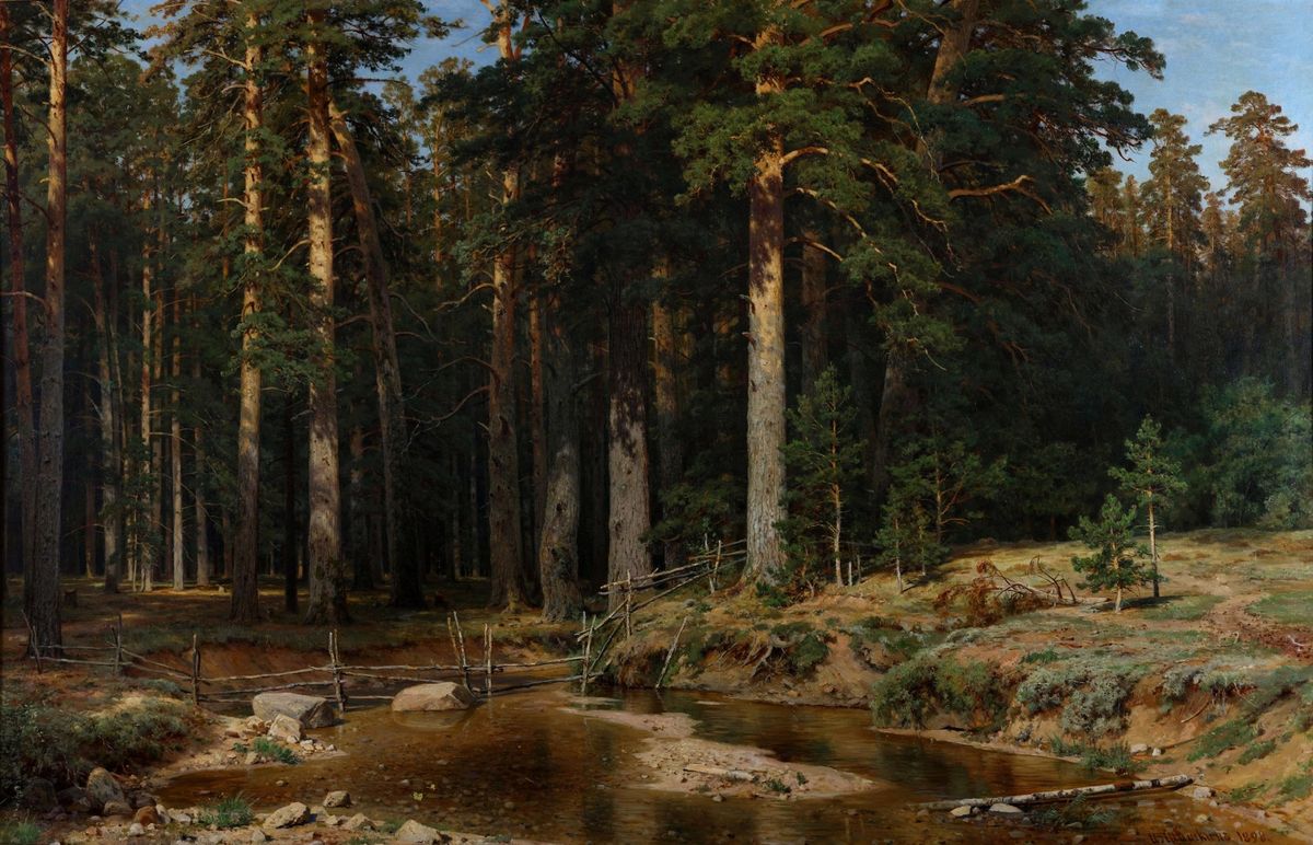 Картина «Корабельная роща» 1898
